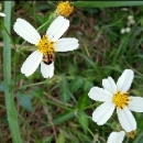 自然功能眼镜 - 小猪导航 - 社交电商行业全国微信群二维码导航平台大全