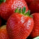 小猪导航 - 社交电商行业全国微信群二维码导航平台大全